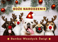 eKartki Kartki elektroniczne - Bożonarodzeniowy Mikołaj Bardzo Wesołych Świąt!, 