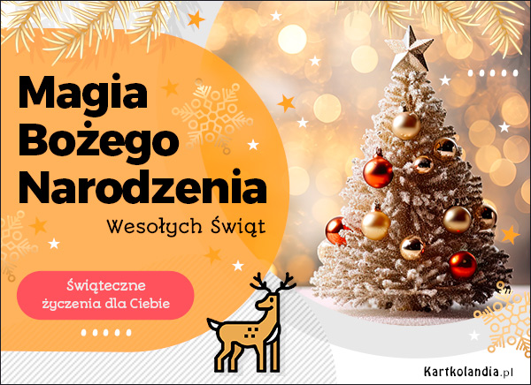 Magia Bożego Narodzenia