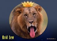 eKartki Zwierzęta Król Lew, 