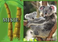 eKartki Kartki elektroniczne - Miś Koala Misie, 
