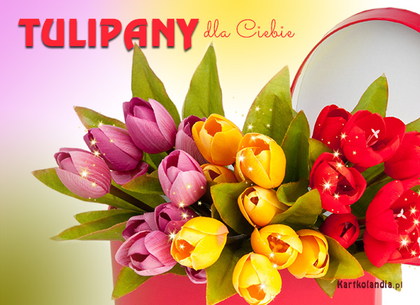 Tulipany na imieniny