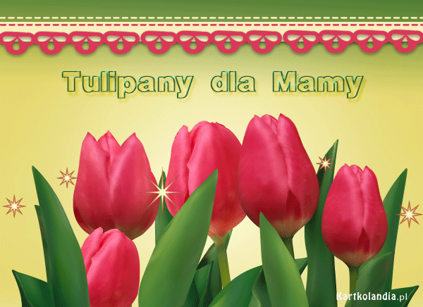 Tulipany dla Mamy