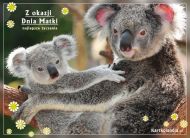 eKartki Kartki elektroniczne - Miś Koala Z okazji Dnia Matki, 