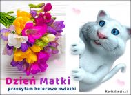 eKartki Kartki elektroniczne - Kwiaty na Dzień Matki Przesyłam kolorowe kwiatki, 