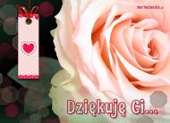 eKartki Kartki elektroniczne - Darmowa e-Kartka dziękuję Ci Róża dla Ciebie, 