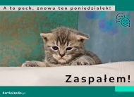 eKartki Kartki elektroniczne - e-Kartka z kotem Znowu ten poniedziałek!, 