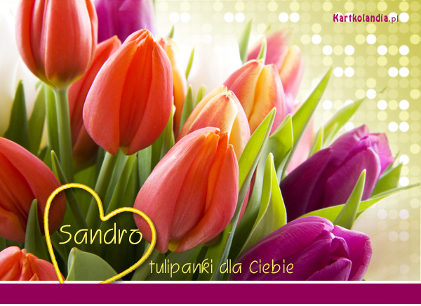 Kartka z tulipanami dla Sandry