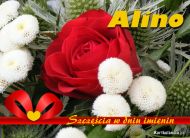 eKartki Kartki elektroniczne - Kartki kwiaty Kartka imieninowa dla Aliny, 