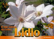 eKartki Kartki elektroniczne - Lidia Lidio dla Ciebie, 