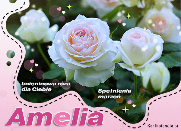 Amelia - Imieninowa róża dla Ciebie