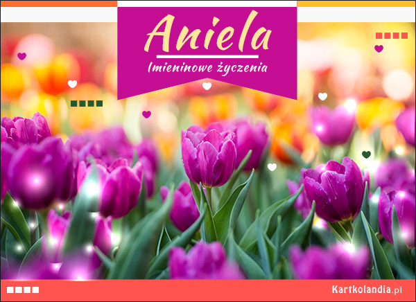 Aniela - Tulipany dla Ciebie