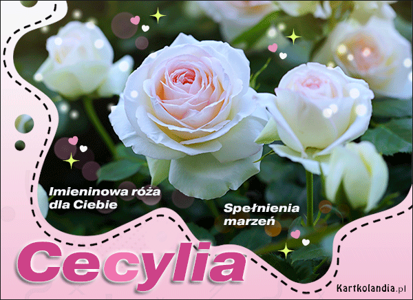 Cecylia - Imieninowa róża dla Ciebie