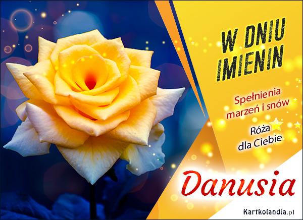 Danusia - Imieninowa róża dla Ciebie