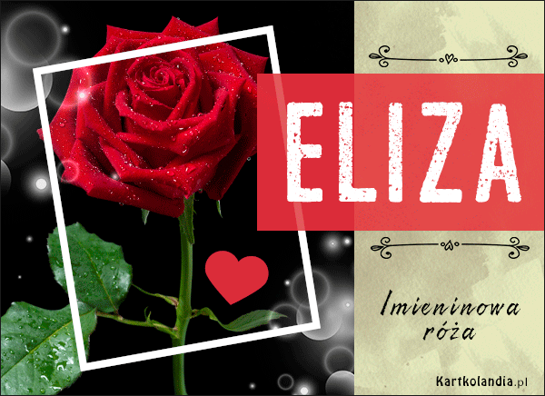 Eliza - Imieninowa róża dla Ciebie