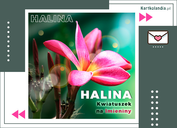 Halina - Kwiatuszek na Imieniny