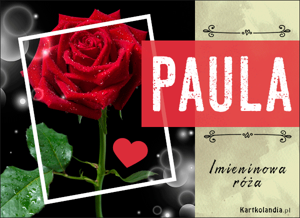 Paula - Imieninowa róża dla Ciebie