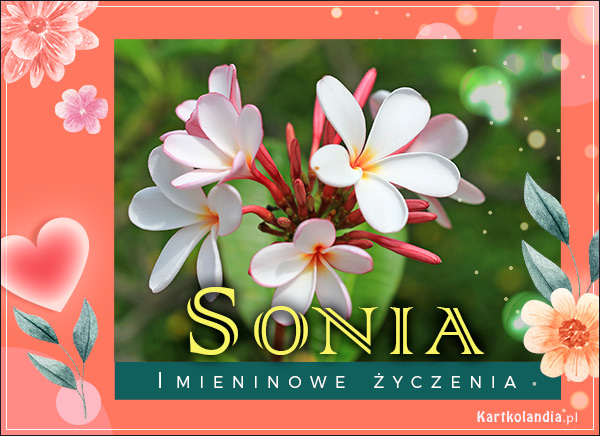 Sonia - Pocztówka Imieninowa