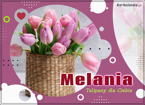 Tulipany dla Melanii