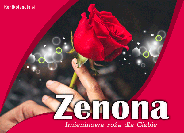 Zenona - Róża dla Ciebie