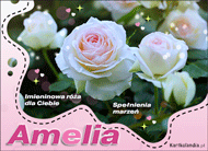 eKartki Imienne Damskie Amelia - Imieninowa róża dla Ciebie, 