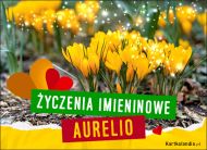 eKartki Kartki elektroniczne - Kartki kwiaty Aurelia - Życzenia Imieninowe, 