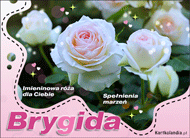 eKartki Imienne Damskie Brygida - Imieninowa róża dla Ciebie, 