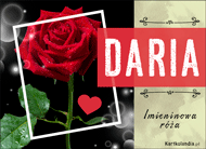 eKartki Imienne Damskie Daria - Imieninowa róża dla Ciebie, 