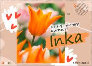 eKartki Kartki elektroniczne - Kartka imieninowa dla Inki Inka - Kartka Imieninowa, 