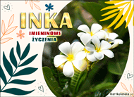 eKartki Kartki elektroniczne - Kartki kwiaty Inka - Tropikalne Imieniny, 