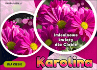 eKartki Kartki elektroniczne - Kartka imieninowa Karolina - Imieninowe kwiaty dla Ciebie, 