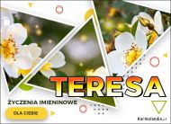 eKartki Imienne Damskie Kartka z kwiatami dla Teresy, 