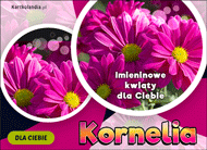 eKartki Kartki elektroniczne - Nel Kornelia - Imieninowe kwiaty dla Ciebie, 