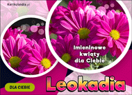 eKartki Imienne Damskie Leokadia - Imieninowe kwiaty dla Ciebie, 