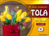 eKartki Kartki elektroniczne - Kartki kwiaty Moc Życzeń dla Toli, 