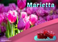 eKartki Kartki elektroniczne - Kartki kwiaty Prezencik dla Marietty, 