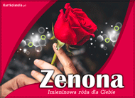 eKartki Imienne Damskie Zenona - Róża dla Ciebie, 