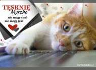 eKartki Kartki elektroniczne - Kartki z kotem Tęsknię Myszko, 
