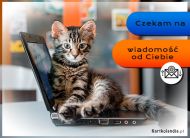eKartki Kartki elektroniczne - Kartka z kotem Czekam na wiadomość od Ciebie, 