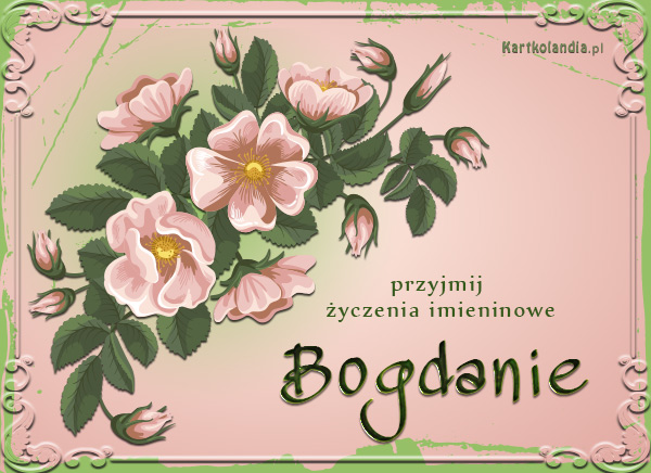 Kwiaty dla Bogdana