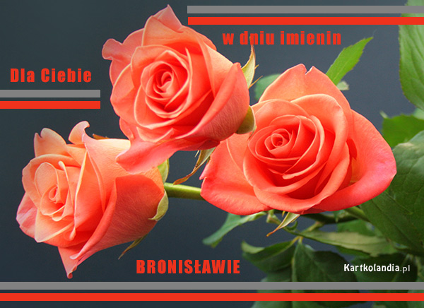 Róże dla Bronisława