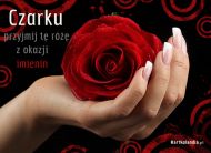 eKartki Kartki elektroniczne - Życzenia imieninowe Róża dla Czarka, 