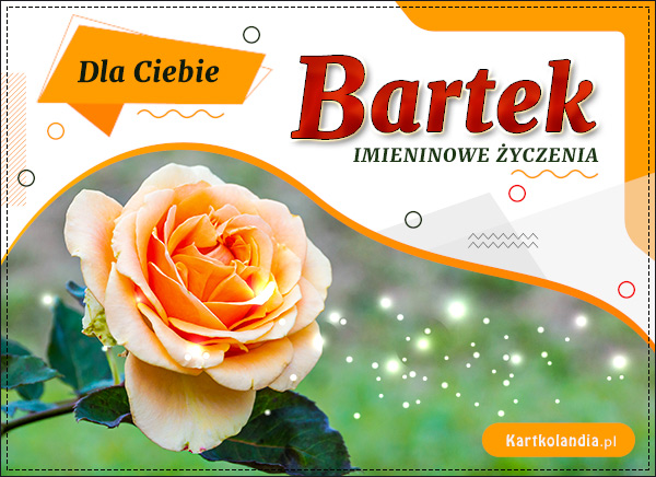 Bartek - Róża dla Ciebie