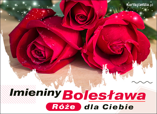 Bolesław - Róże na Imieniny