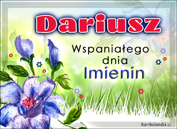 Dariusz - Wspaniałego dnia Imienin