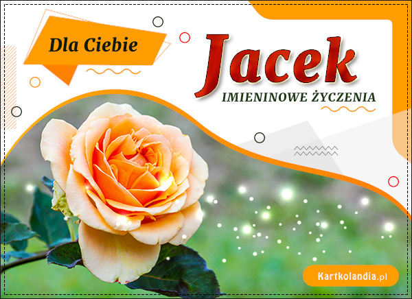 Jacek - Róża dla Ciebie
