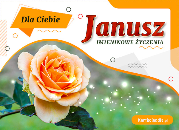 Janusz - Róża dla Ciebie!