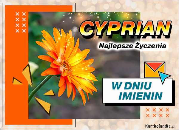 Kwiatek dla Cypriana