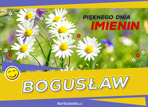 Kwiatuszki imieninowe dla Bogusława