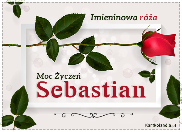 Róża dla Sebastiana