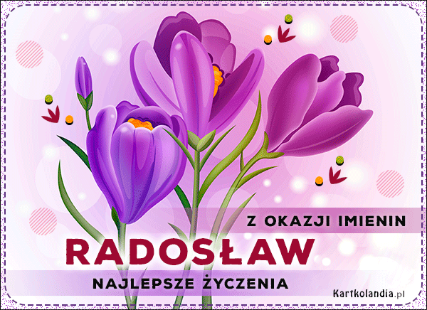 Radosław - Kwiaty na Imieniny